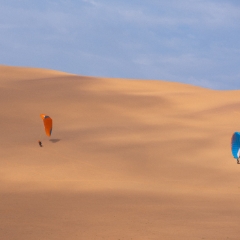 Namibia Photography Parasailers Above the Dunes