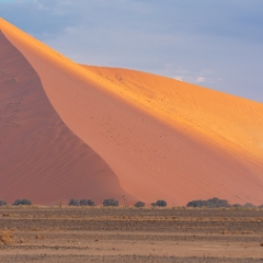 Namibia Photography Sossusvlei Towering Dunes at Dawn