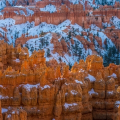 Bryce Canyon Photography Afternoon Golden Light