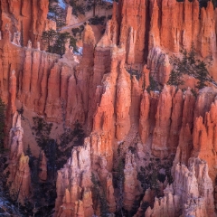 Bryce Canyon Photography Canyon Details