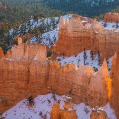 Bryce Canyon Photography Into the Canyon Sunrise Light Rows