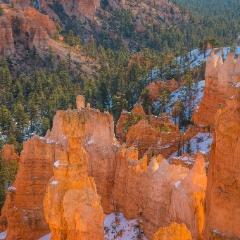 Bryce Canyon Photography Into the Canyon Sunrise