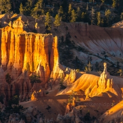 Bryce Canyon Photography Morning Light