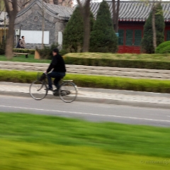 Beijing Cyclist