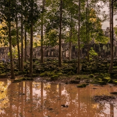 Cambodia Ta Keo Ruins Reflection