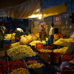 Chennai Koyambedu Flower Market Morning
