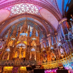 Notre Dame Christmas Colors