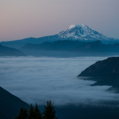 Mount Adams Fog