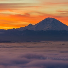 Mount Rainier Photography Rainier Above the Clouds from Seattle