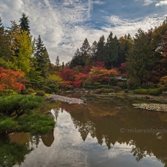 A Fall Landscape