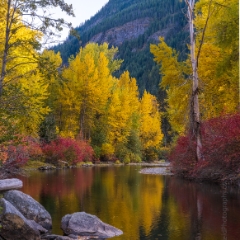 Northwest Fall Colors Peaceful Tranquility