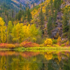 Northwest Fall Colors Reflection Symmetry Horizontal