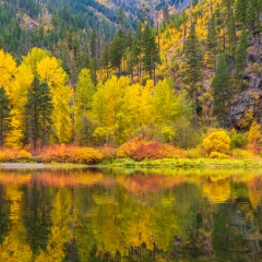 Northwest Fall Colors Reflection Symmetry