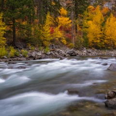 Northwest Fall Colors River