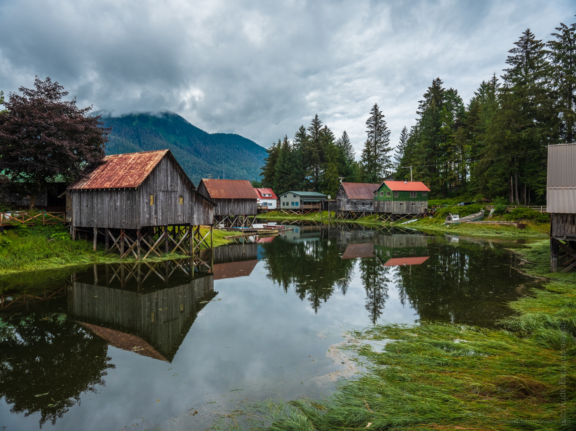 Petersburg Alaska Hammer Slough.jpg 