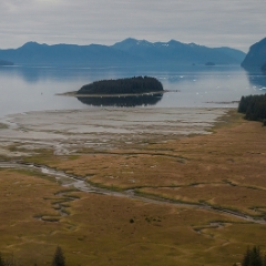 Mud Flats.jpg To order a print please email me at  Mike Reid Photography : alaska, frontier, glacier, sound, le conte glacier, petersburg, southeast alaska, landscape, goats, norway, vikings, sons of norway