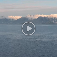 Petersburg Alaska Whales Aerial Drone Video TW.mp4
