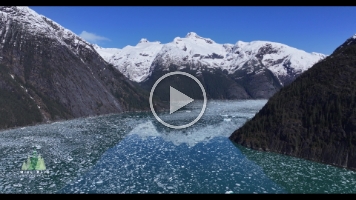 Over Alaska Le Conte Bay and Glacier Video.mp4