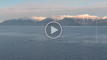 Petersburg Alaska Whales Aerial Drone Video TW.mp4