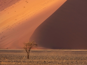 Africa and Namibia Photography