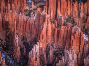 Arizona and Utah Photography