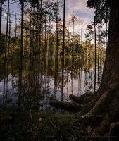 Cambodia Angkor Thom Water