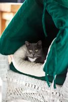 heater The heated hutch I made for her when she wasnt quite ready to come inside