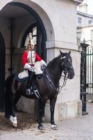 Horse Guard in London