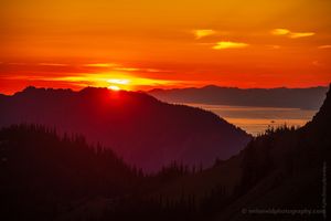 Hurricane Ridge Suns Setting 2