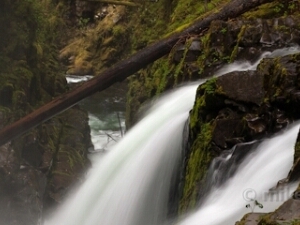 Olympic National Park Sol Duc Photography