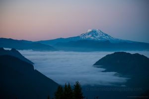 Mount Adams Above the Fog