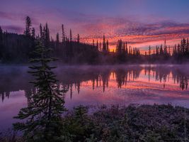 Mount Rainier Photography Reflection Lakes Sunrise Details.jpg