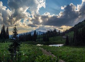 Rainier Naches Loop Sunrays.jpg