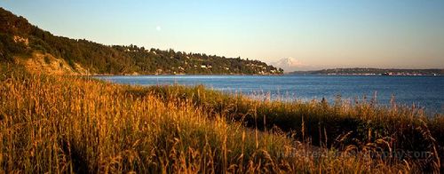 Discovery Park and Mount Rainier Late afternoon light bathes the tall grasses of Discovery Park in warm gold, overlooking the calm waters of Puget Sound. In the distance, Mount Rainier rises...