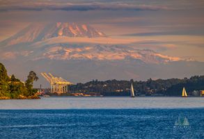 Sailboats On Elliott Bay and Mount Rainier 500mmjpg Evening light bathes Puget Sound in warm hues as sailboats glide across calm waters with Mount Rainier towering beyond. The golden glow of sunset highlights the...