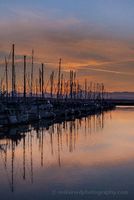 Calm Marina Waters Puget Sound Vertical sunset view over Shilshole Bay Marina in Seattle, with tall sailboat masts reflecting symmetrically in calm golden water beneath a glowing sky.