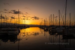 Seattle Photography Shilshole Marina Sunset Golden sunset over Shilshole Bay Marina in Seattle with sailboats and yachts reflected in calm water under a glowing evening sky.