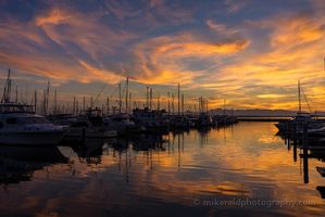 Shilshole Bay Marina Swirling Clouds Colorful sunset over Shilshole Bay Marina in Seattle with sailboats and yachts reflected in still water beneath glowing orange and purple clouds.