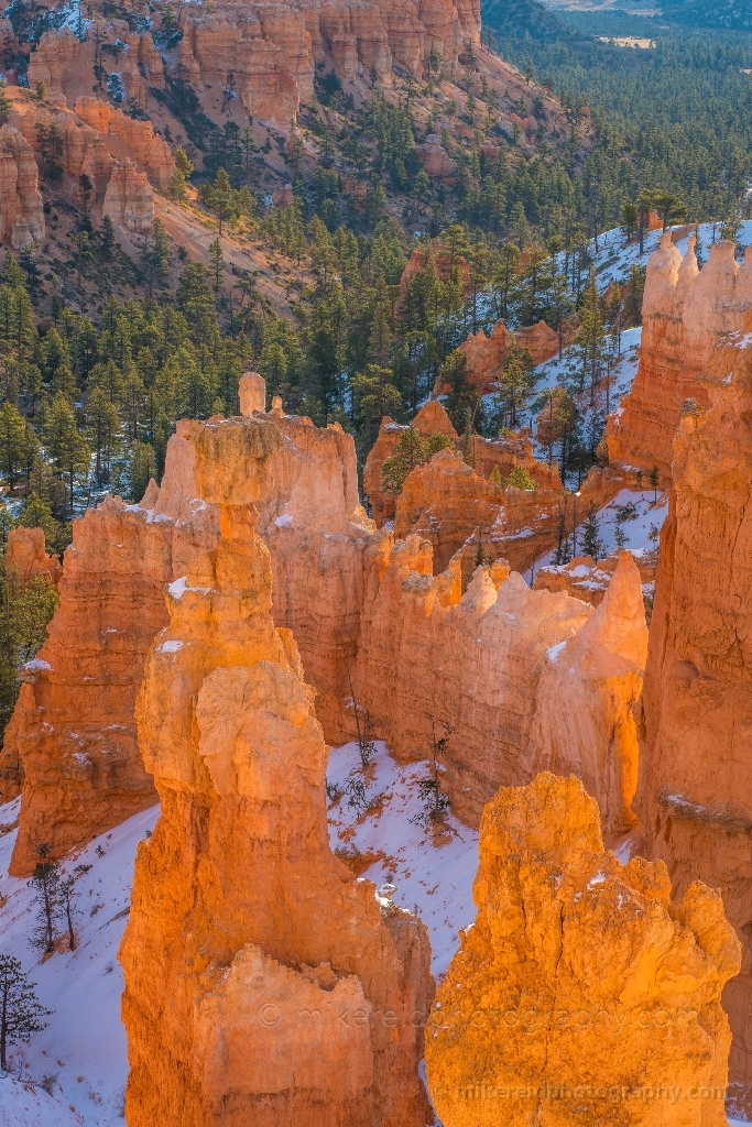 Bryce Canyon Photography Into the Canyon Sunrise