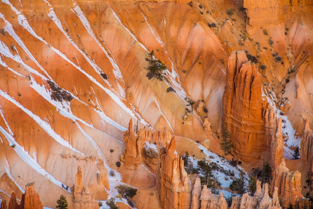 Bryce Canyon Photography Snow Lines