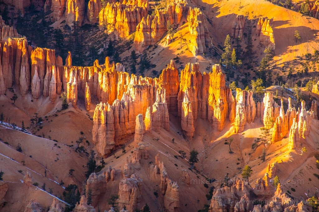 Bryce Canyon Photography Sunrise Light Details
