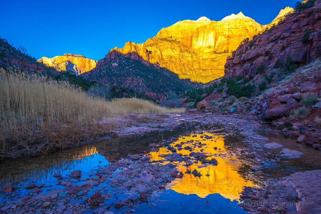 Zion Photography Golden Light on the Sentinel Reflected