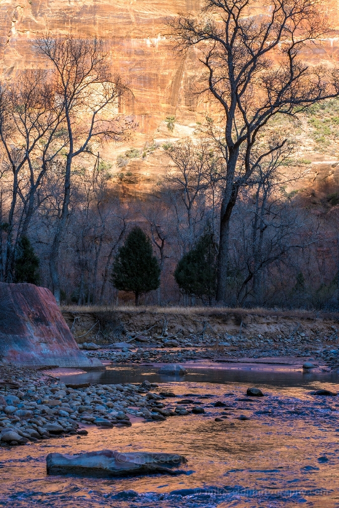 Zion Photography Golden Waters