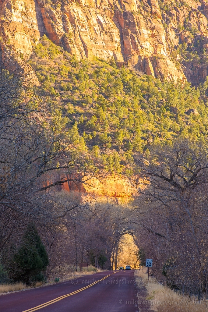 Zion Photography Zion Canyon Drive Afternoon