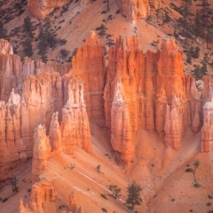 Bryce Canyon Photography 400mm Details To order a print please email me at  Mike Reid Photography : zion, zion national park, bryce canyon, hoodoos, utah, arizona, landscape, landscape photographjy, travel photography, sonyalpha, zeiss lenses