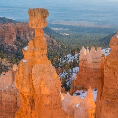 Bryce Canyon Photography Sunrise Hoodoo To order a print please email me at  Mike Reid Photography : zion, zion national park, bryce canyon, hoodoos, utah, arizona, landscape, landscape photographjy, travel photography, sonyalpha, zeiss lenses