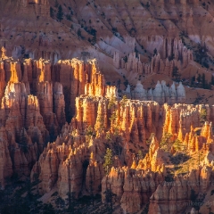 Bryce Canyon Photography Sunrise Light Ampitheater To order a print please email me at  Mike Reid Photography : zion, zion national park, bryce canyon, hoodoos, utah, arizona, landscape, landscape photographjy, travel photography, sonyalpha, zeiss lenses