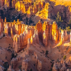 Bryce Canyon Photography Sunrise Light Details To order a print please email me at  Mike Reid Photography : zion, zion national park, bryce canyon, hoodoos, utah, arizona, landscape, landscape photographjy, travel photography, sonyalpha, zeiss lenses