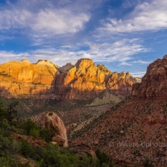 Zion Golden Light To order a print please email me at  Mike Reid Photography : zion, zion national park, bryce canyon, hoodoos, utah, arizona, landscape, landscape photographjy, travel photography, sonyalpha, zeiss lenses, zion canyon drive