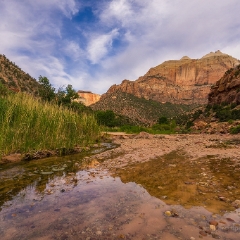 Zion Landscape To order a print please email me at  Mike Reid Photography : zion, zion national park, bryce canyon, hoodoos, utah, arizona, landscape, landscape photographjy, travel photography, sonyalpha, zeiss lenses, zion canyon drive